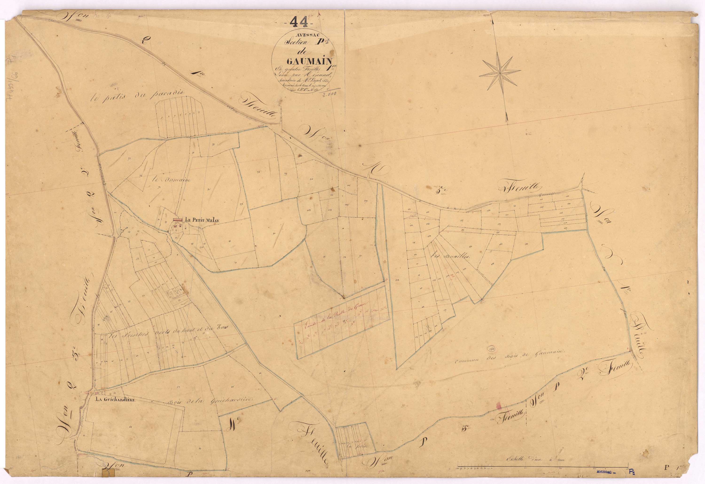 Avessac - Section P1 Gaumain (section de) ; 1-150