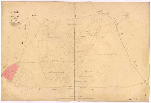 Avessac - Section V4 Salente (section de La) ; 164-349