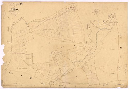Avessac - Section X6 Nérac (section de) ; 1066-1453