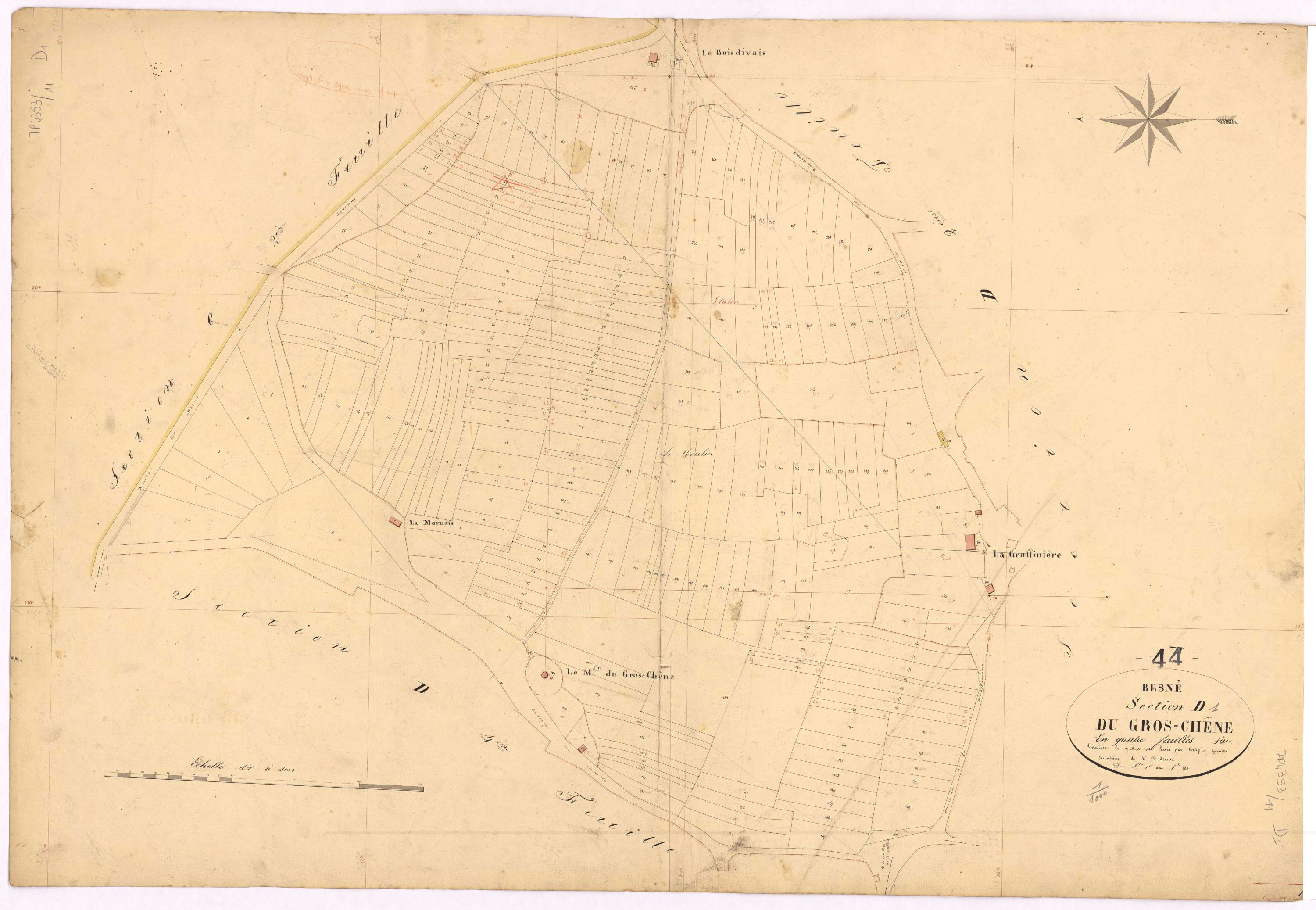 Besné - Section D1 Gros-Chêne (section du) ; 1-248