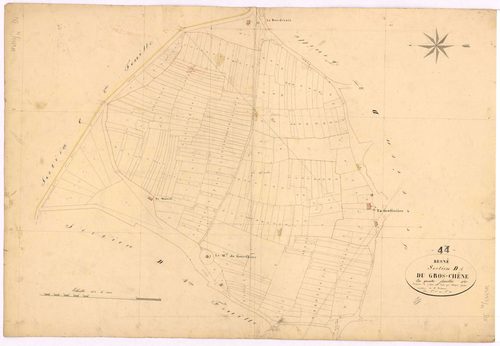 Besné - Section D1 Gros-Chêne (section du) ; 1-248