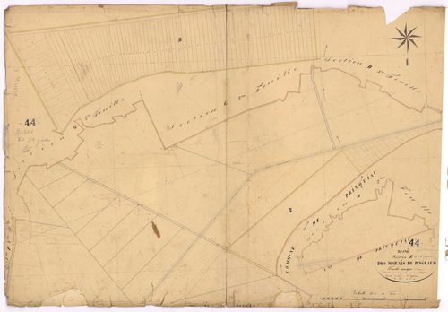 Besné - Section E Marais du Pinglaud (section des) ; 1-117