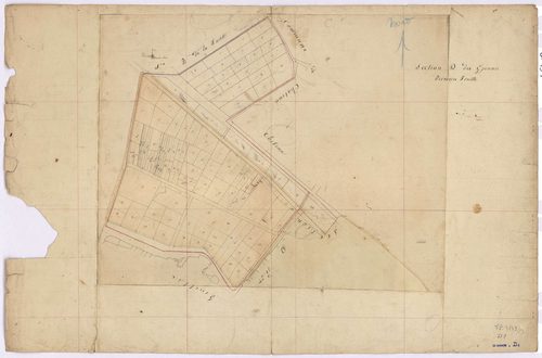 Le Bignon - Section D1 Epinais (section des)