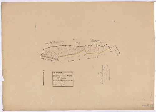Le Bignon - Section B1 Forêt (section de La) ; 1-31