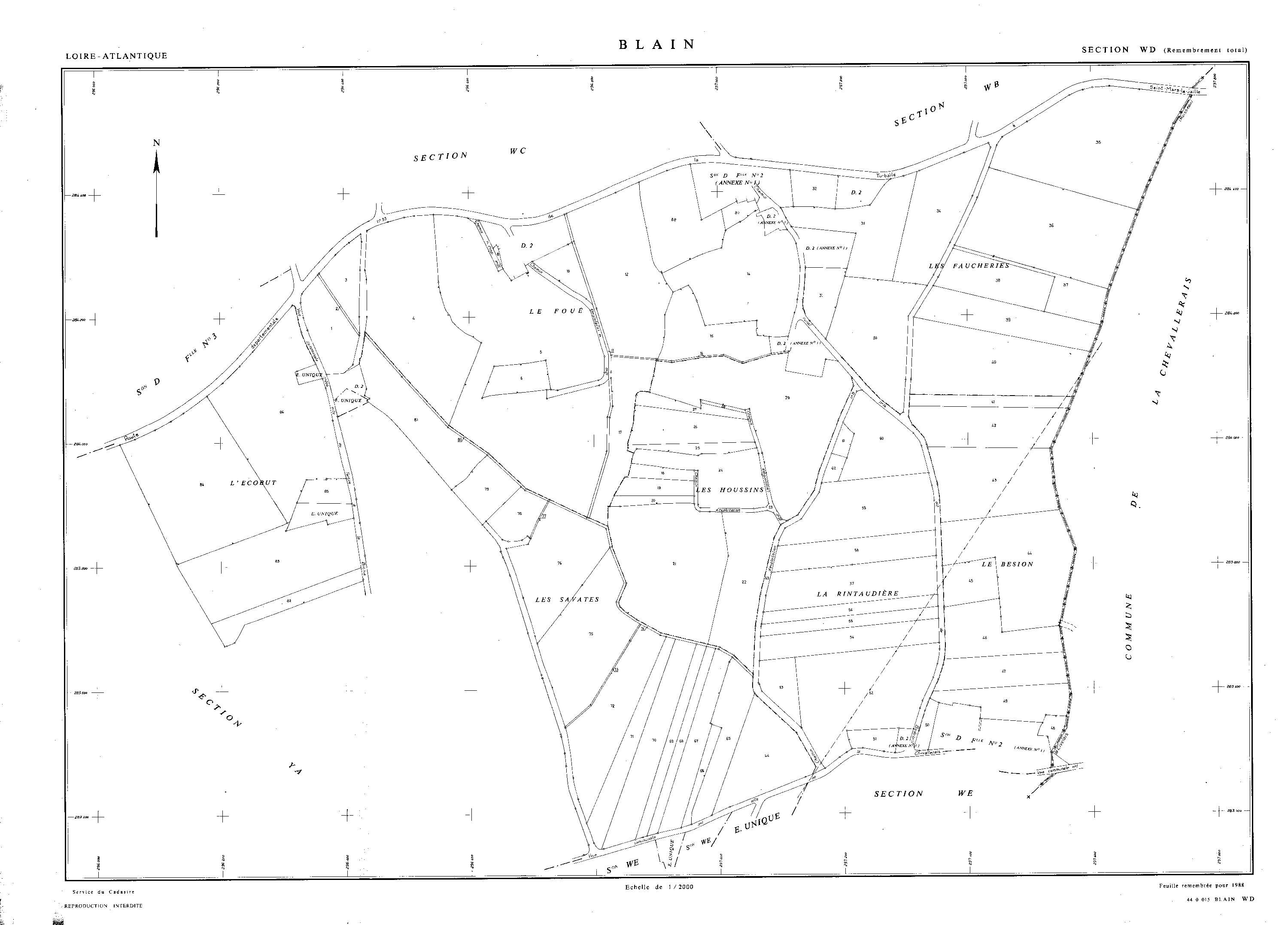 Blain - WD