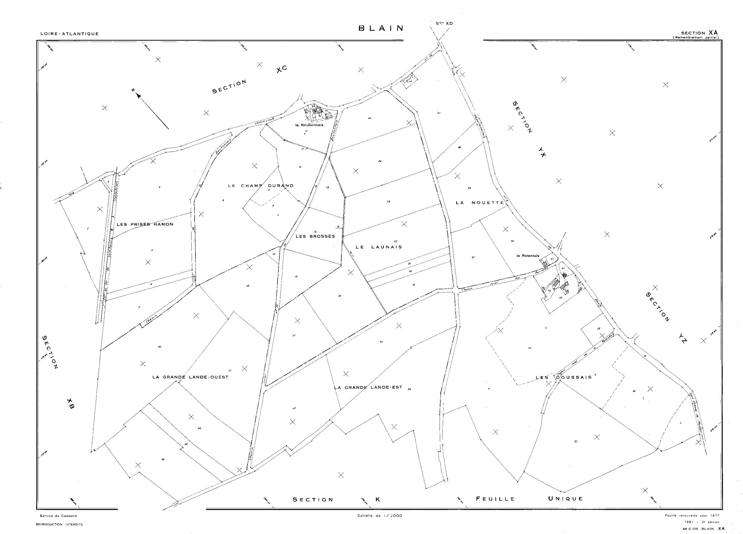 Blain - XA