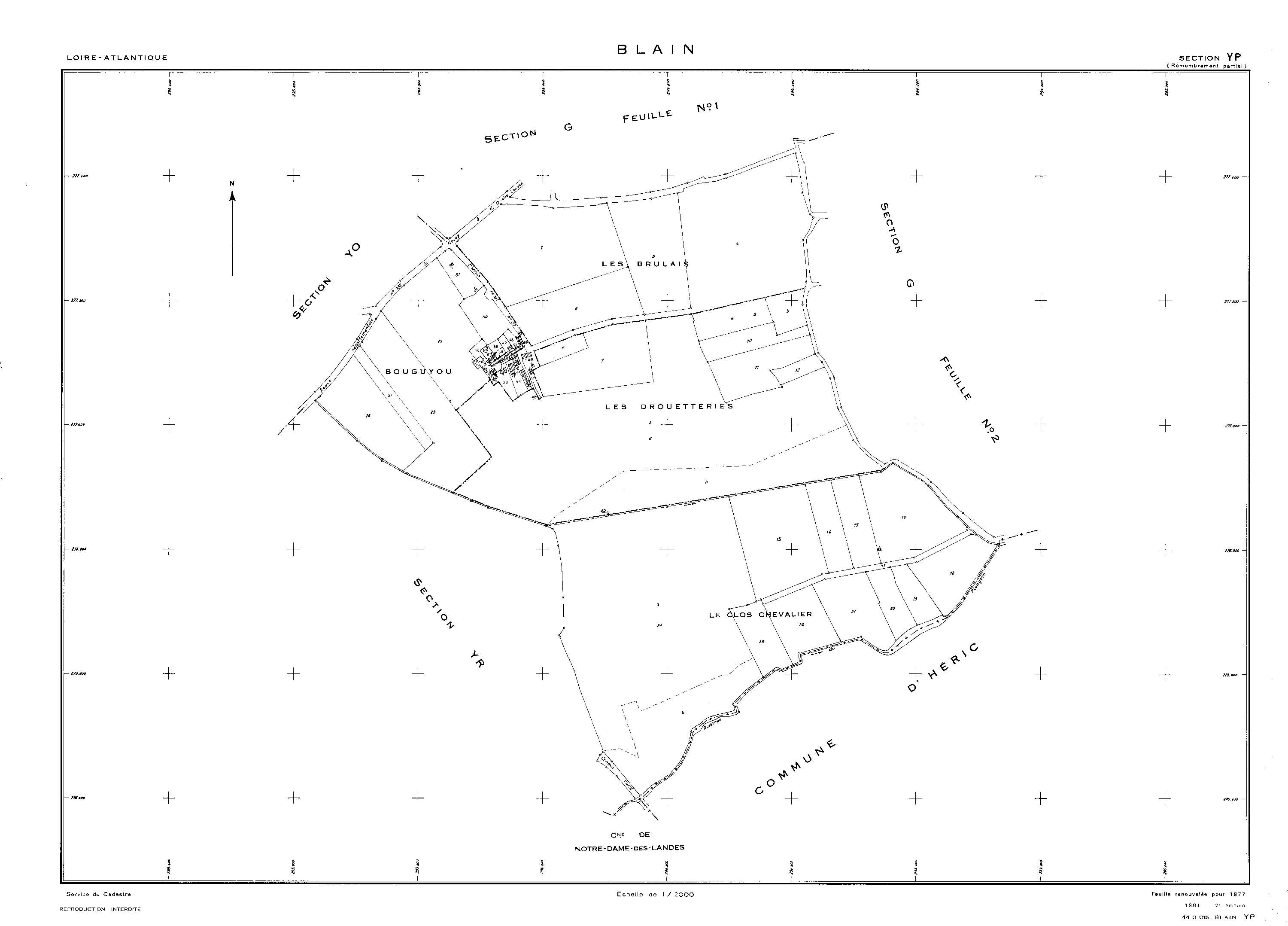 Blain - YP