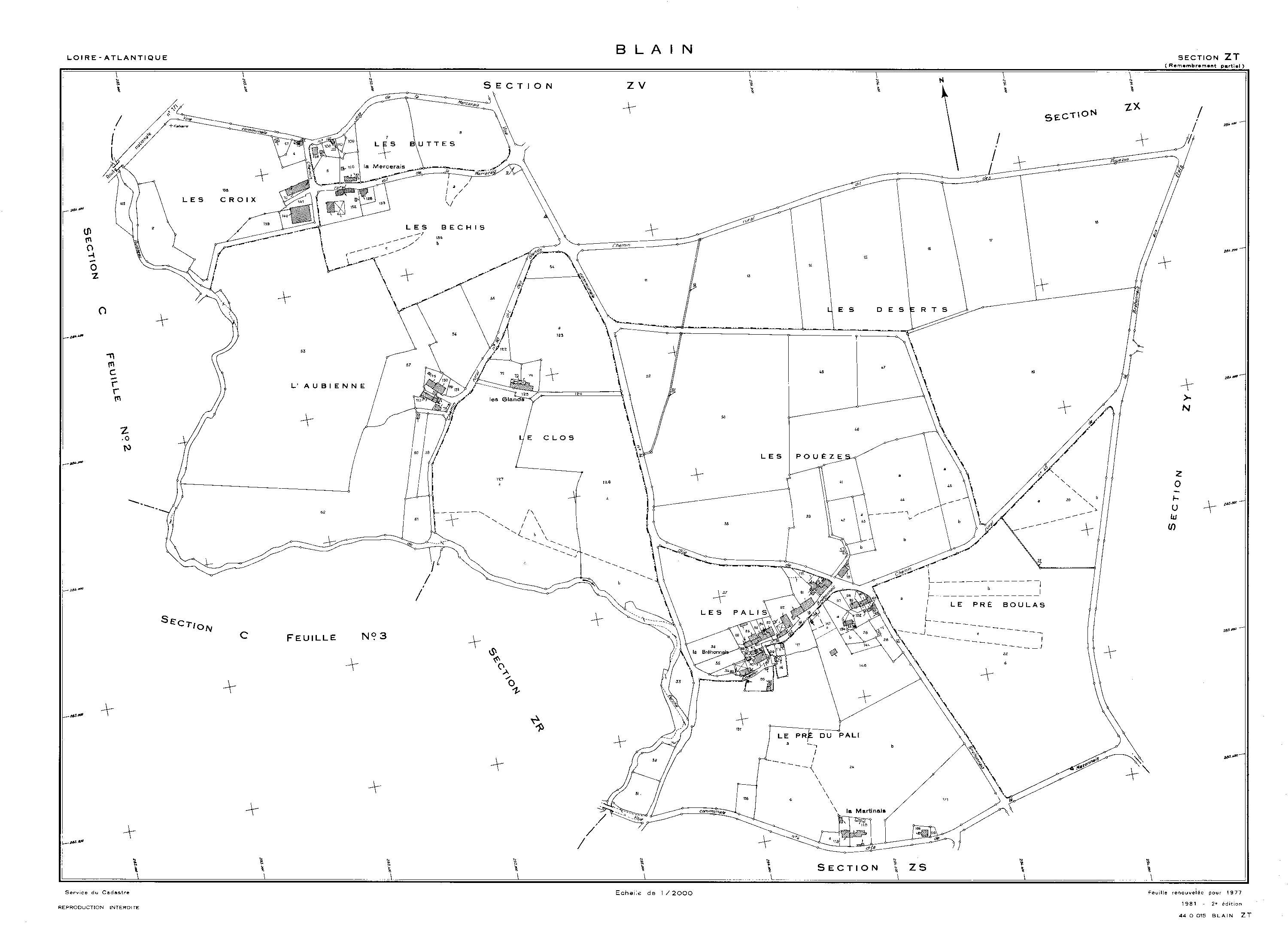 Blain - ZT