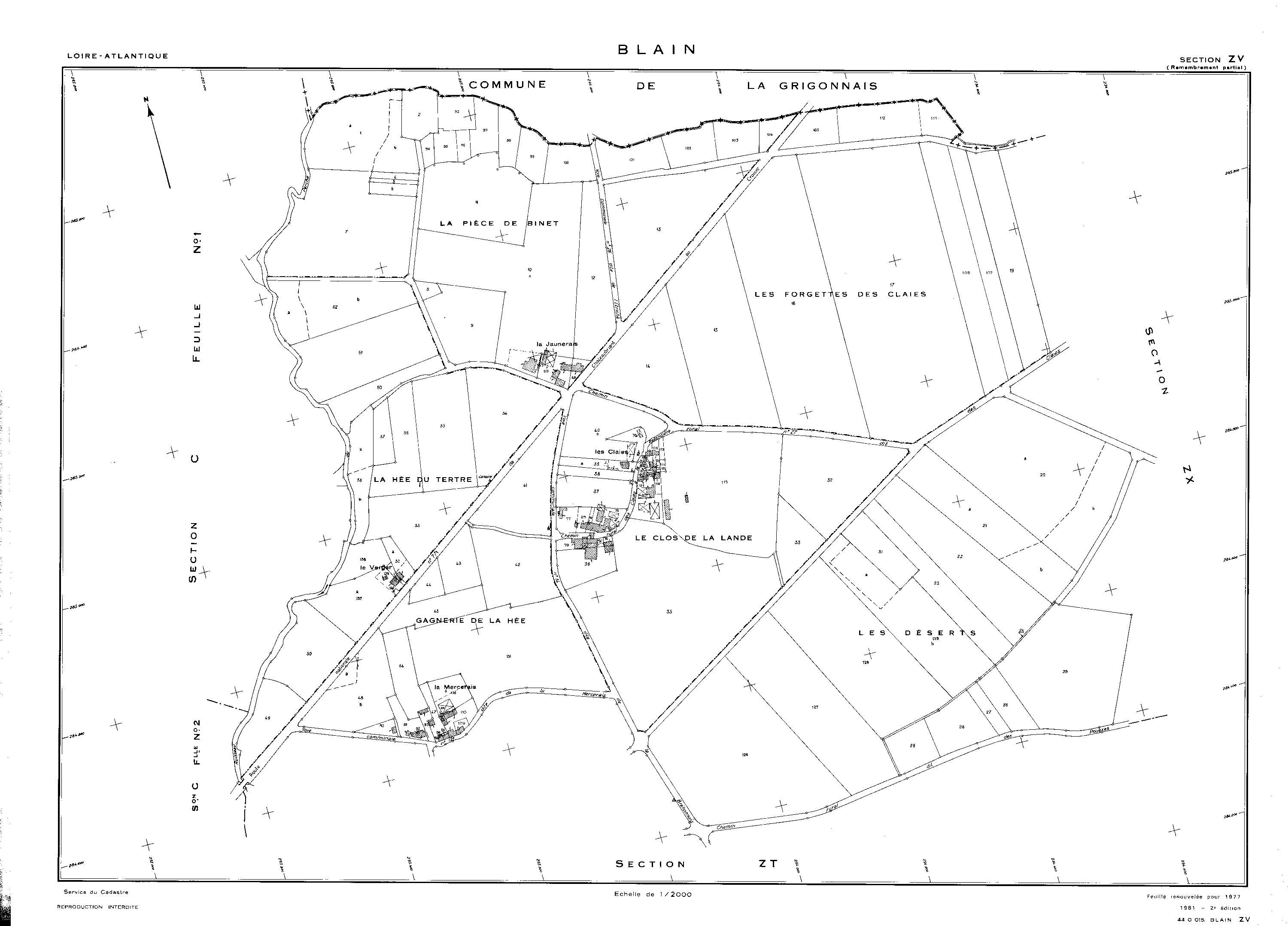 Blain - ZV