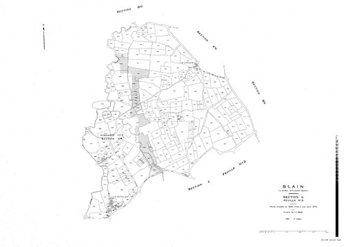 Blain - L3