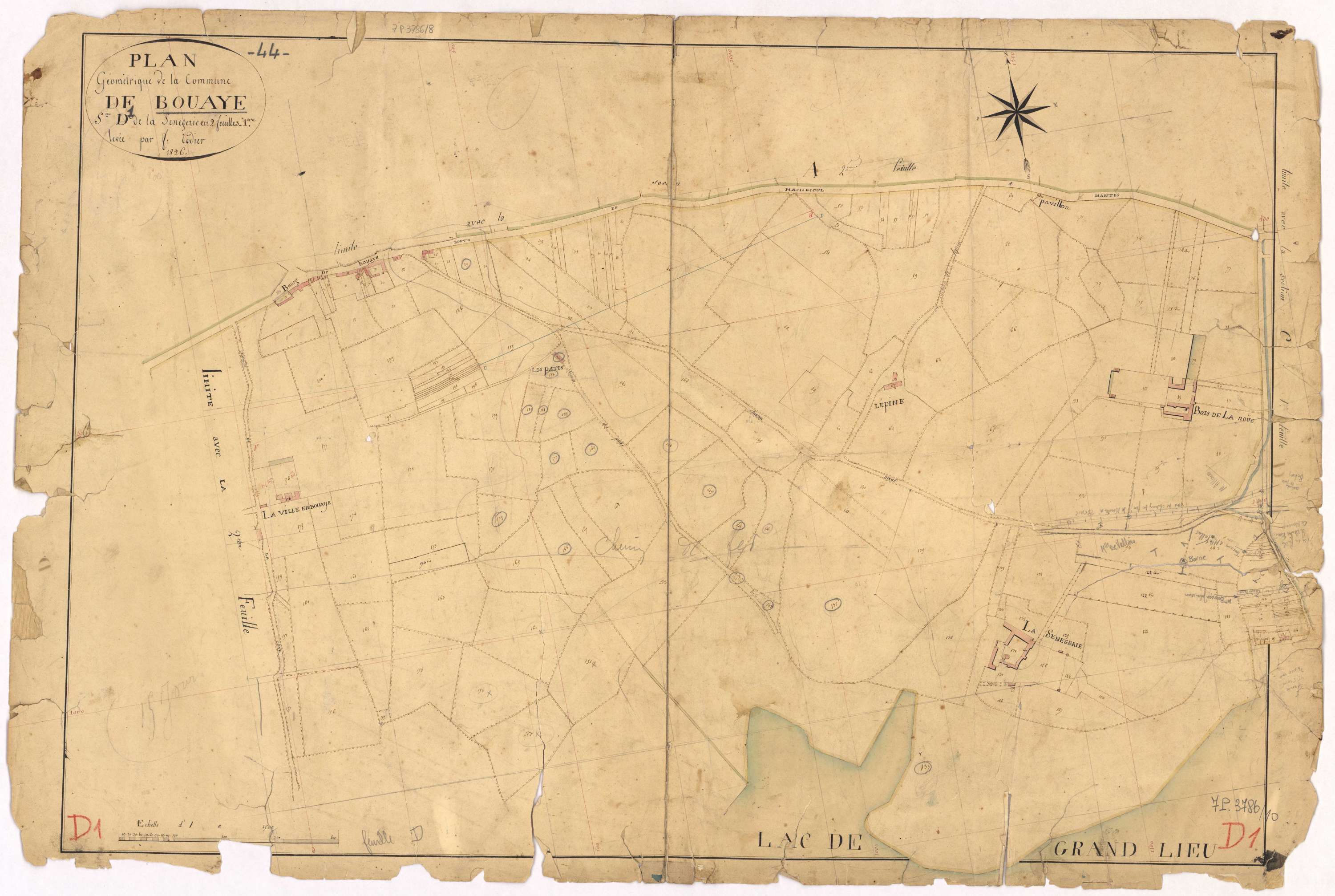 Bouaye - Section D1 Senegerie (section de La)