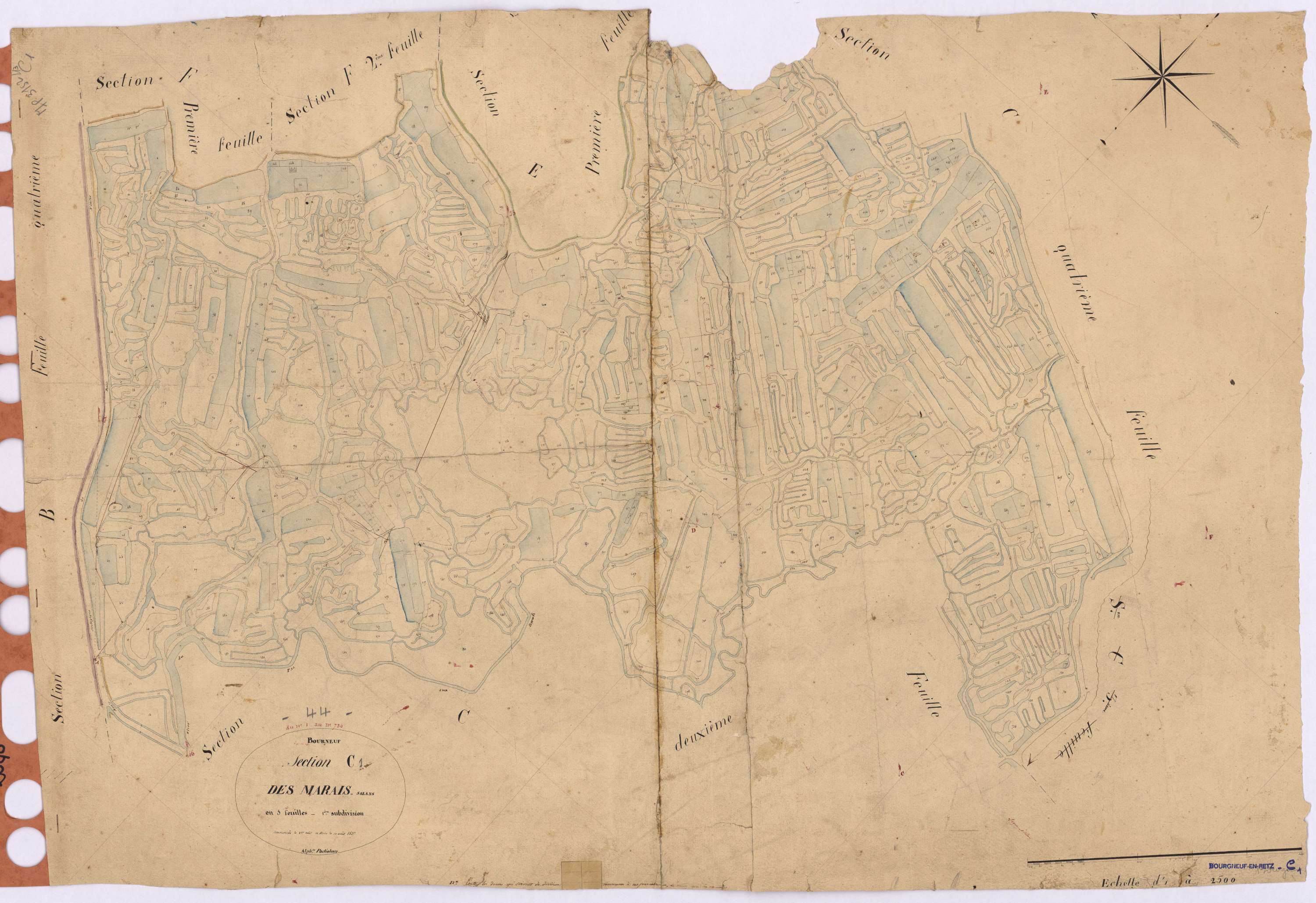 Bourgneuf-en-Retz - Section C1 Marais Salants (section des)
