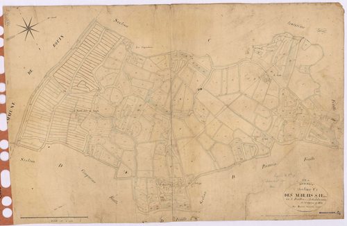 Bourgneuf-en-Retz - Section C5 Marais Salants (section des)