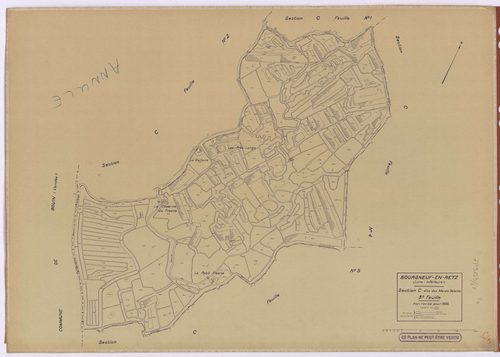 Bourgneuf-en-Retz - Section C3 Marais Salants (section des) ; 615-857