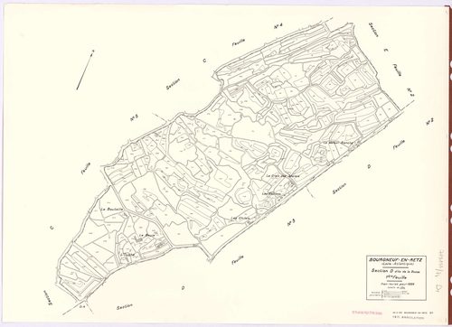 Bourgneuf-en-Retz - Section D1 Bosse (section de La) ; 1-304