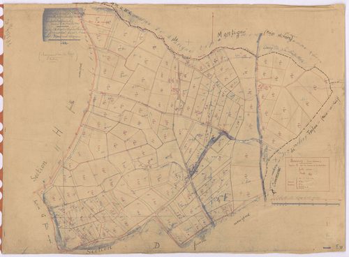Boussay - Section E Landes de la Badrillère (section des) ; 1-174