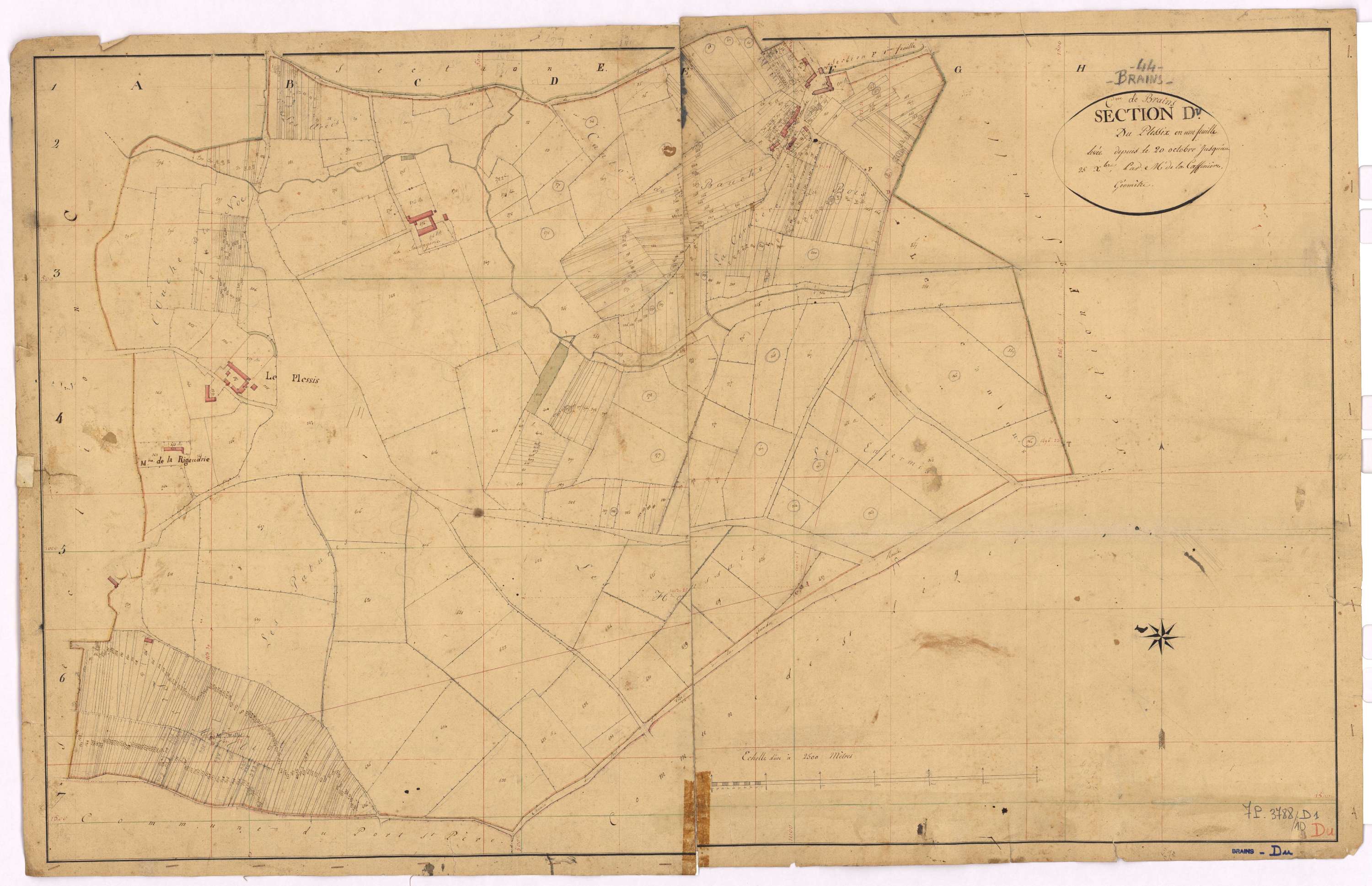 Brains - Section D Plessis (section du)
