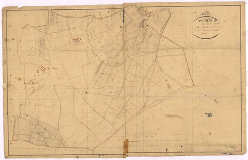 Brains - Section D Plessis (section du)