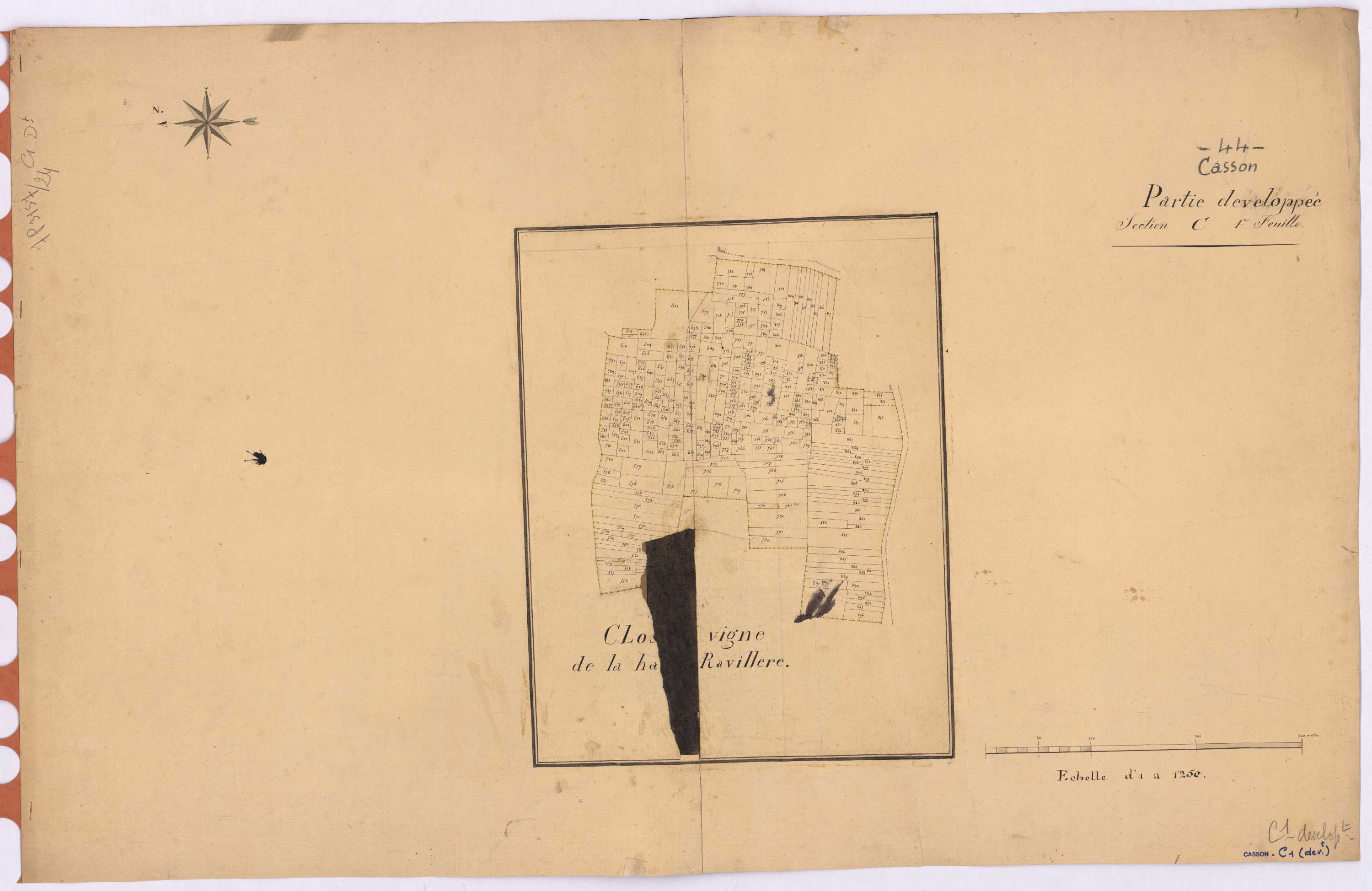 Casson - Section C1 (développement) Pervenchère (section de La) ; développement du Clos de Vigne de La Haute Ravillère