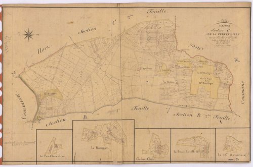 Casson - Section C1 Pervenchère (section de La) ; 1-1115
