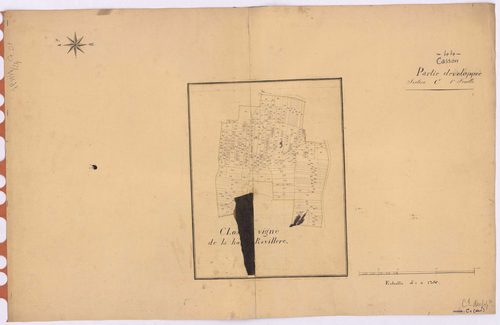Casson - Section C1 (développement) Pervenchère (section de La) ; développement du Clos de Vigne de La Haute Ravillère