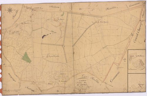 Casson - Section D2 Bourg (section du) ; 970-1295