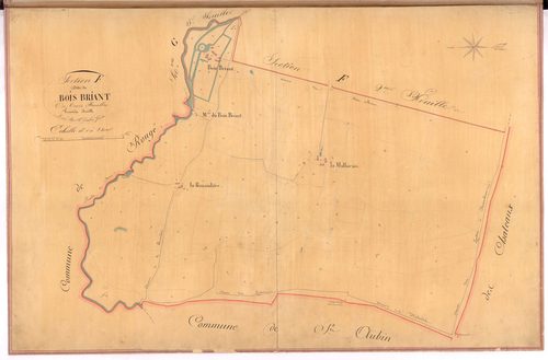 Châteaubriant - Section F1 Bois Briant (section de)