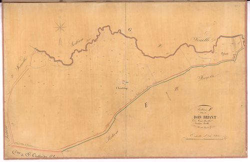 Châteaubriant - Section F3 Bois Briant (section de)
