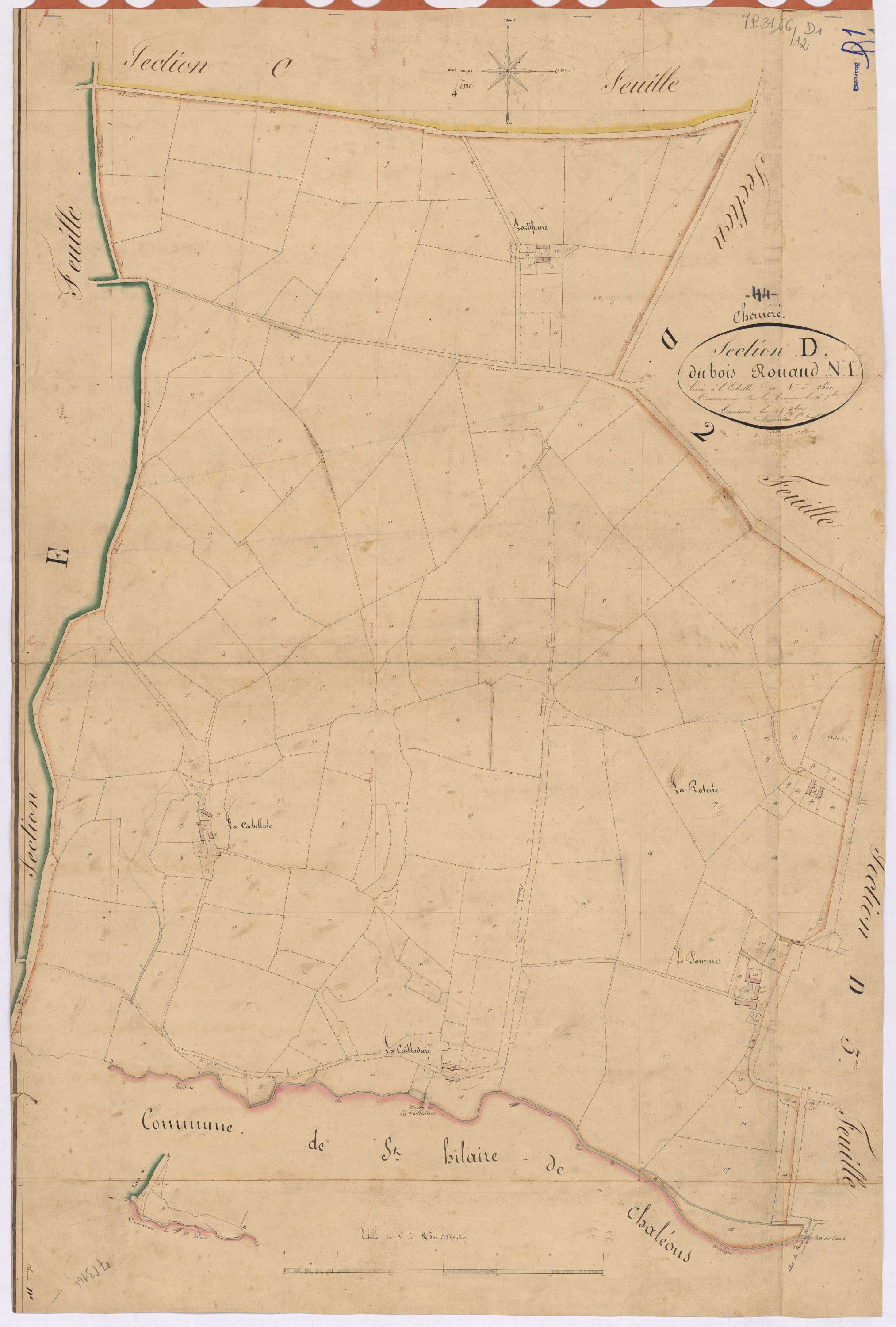 Chéméré - Section D1 Bois Rouaud (section du) ; 1-158