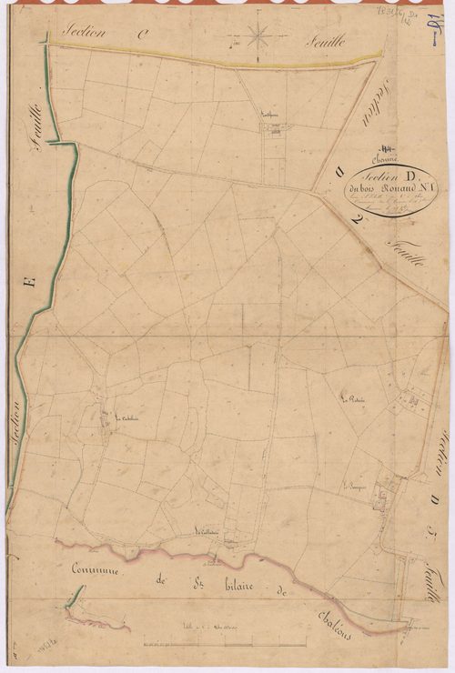 Chéméré - Section D1 Bois Rouaud (section du) ; 1-158
