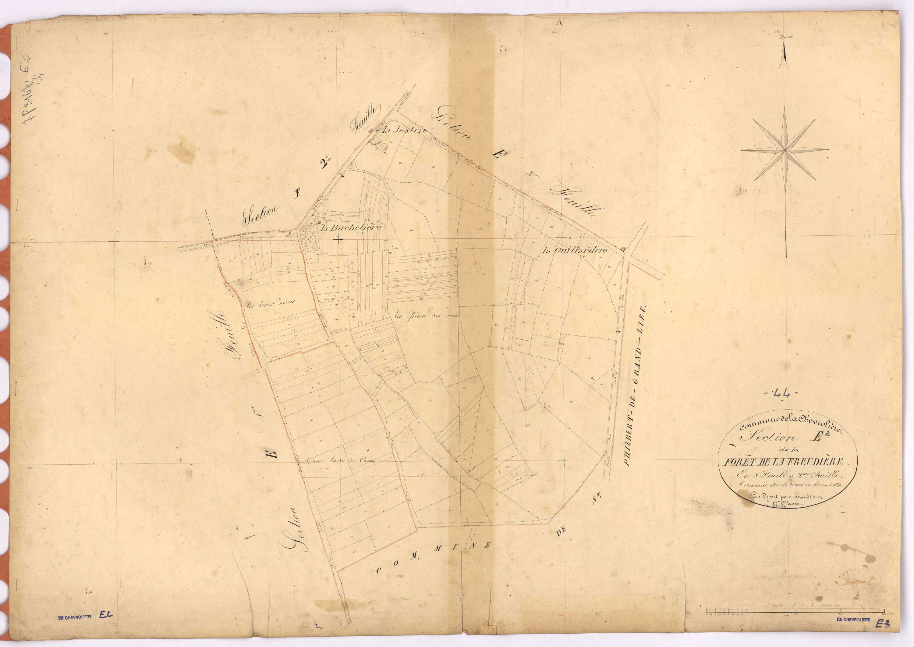 La Chevrolière - Section E2 Forêt de La Freudière (section de) ; 155-343
