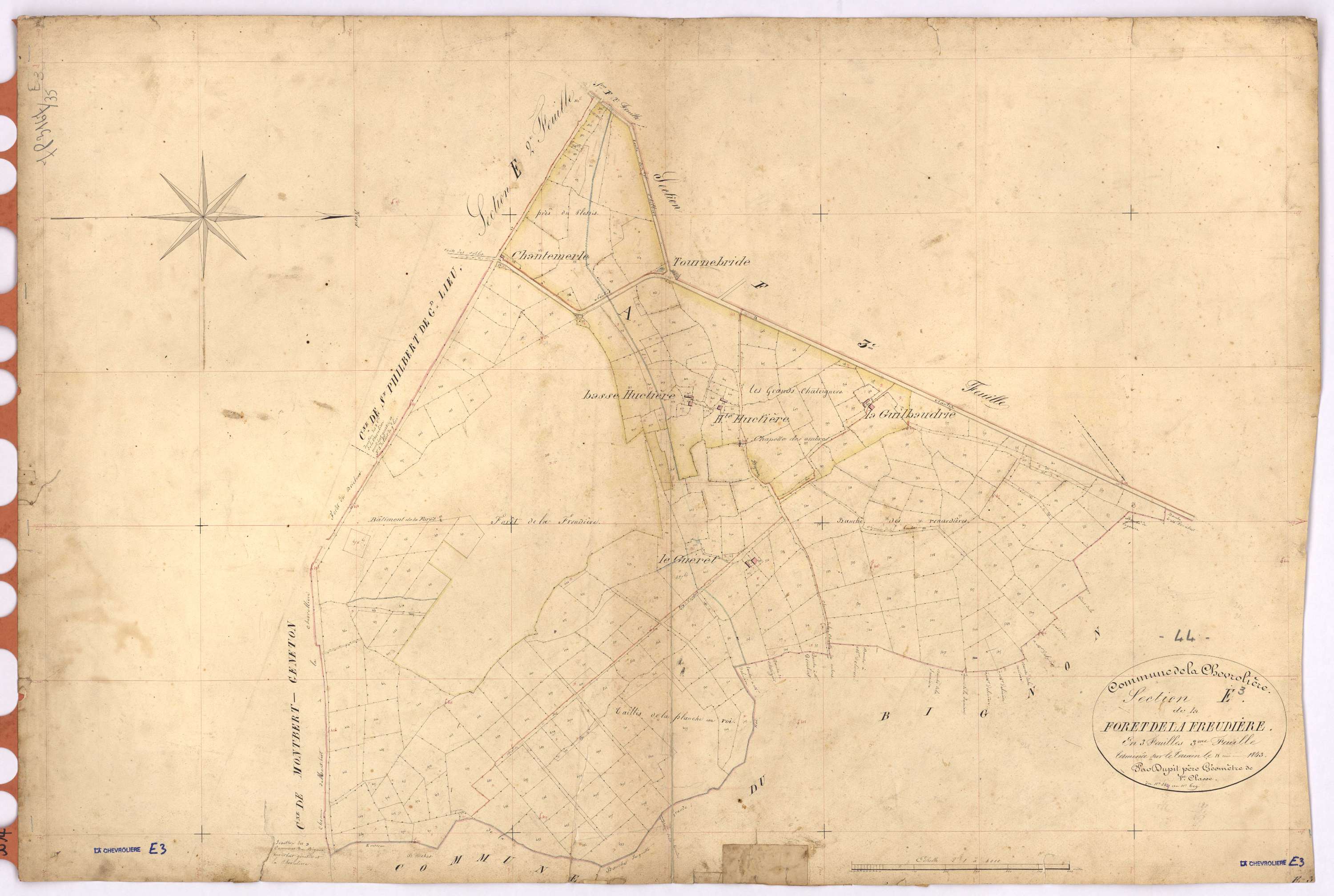 La Chevrolière - Section E3 Forêt de La Freudière (section de) ; 344-609