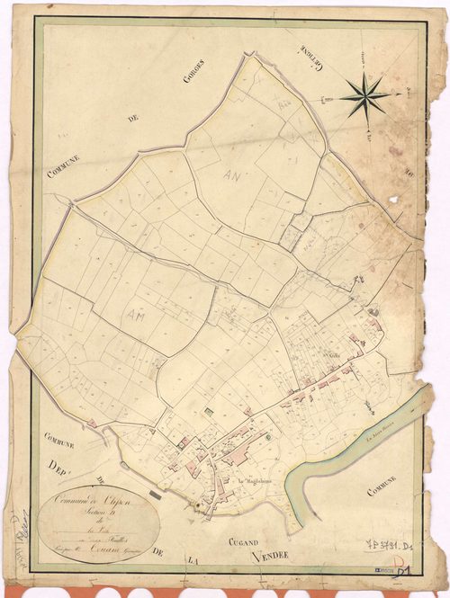 Clisson - Section D1 Ville (section de La)