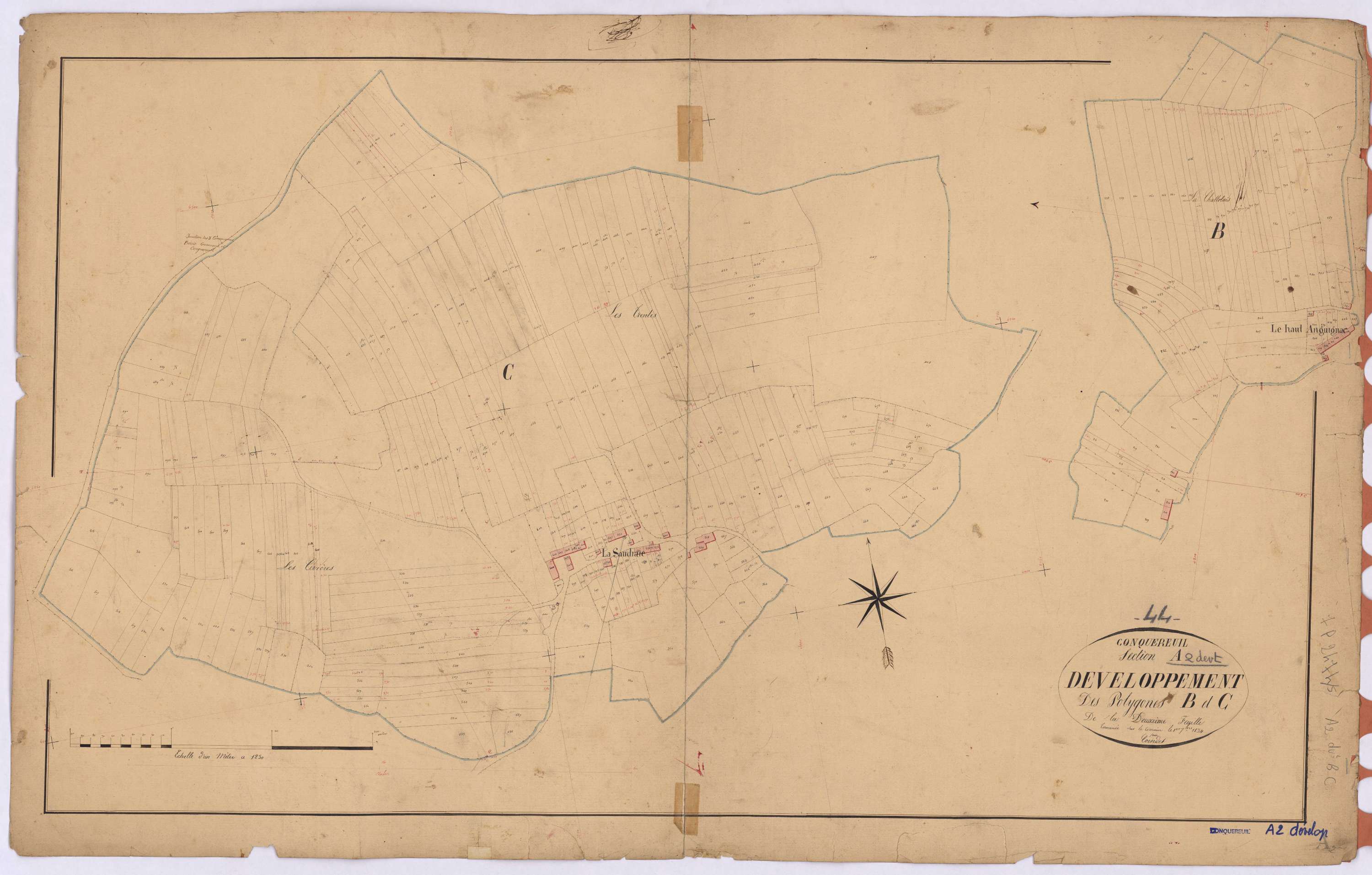 Conquereuil - Section A2 (développement) Anguignac (section d') ; 209-680 ; développement des polygônes C et D