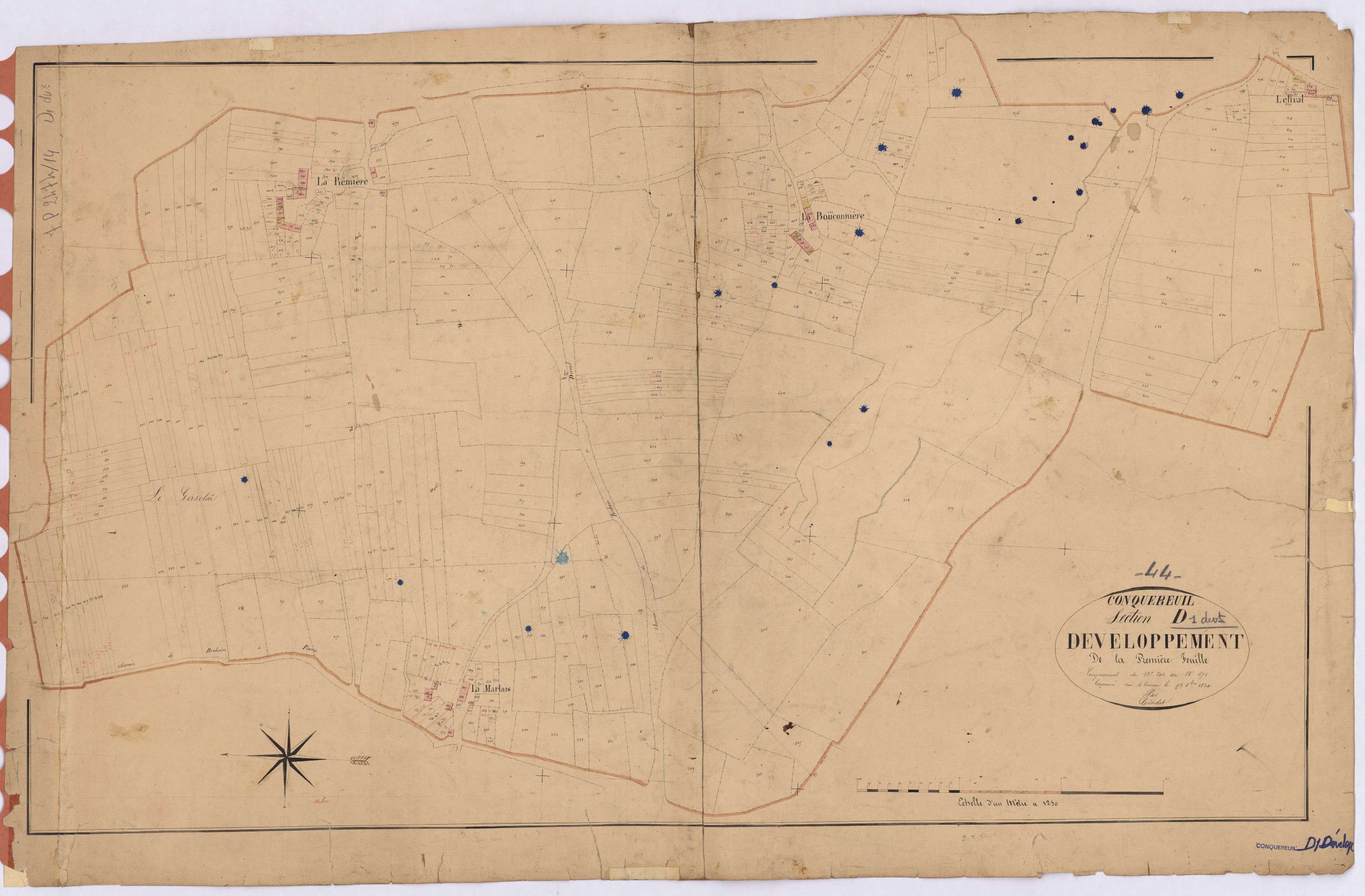 Conquereuil - Section D1 (développement) Mortiers (section des) ; 1-682 ; développement des parcelles 243-674