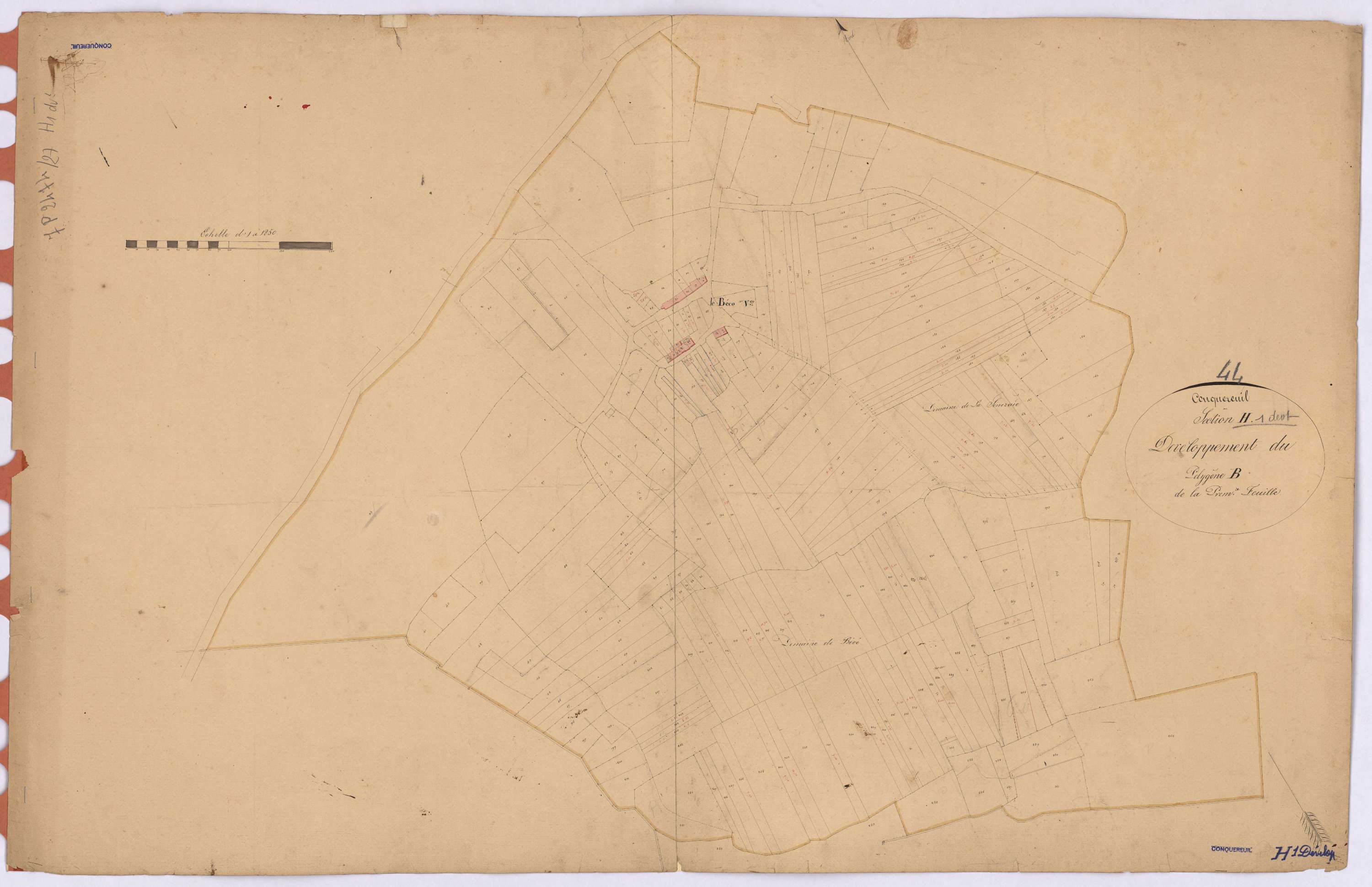 Conquereuil - Section H1 (développement) Haie (section de La) ; 1-345 ; développement du polygône B