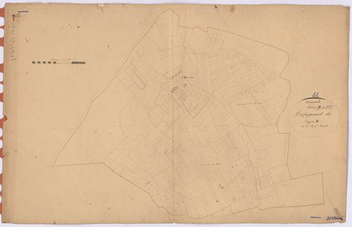Conquereuil - Section H1 (développement) Haie (section de La) ; 1-345 ; développement du polygône B