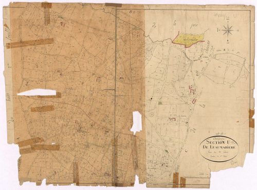 Couëron - Section U Leaumarière (section de)