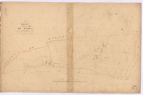 Derval - Section D1 Quibut (section de) ; 1-151