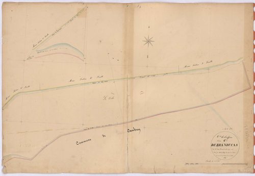 Drefféac - Section C5 Branducas (section de) ; 980-981