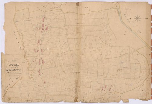 Drefféac - Section C6 Branducas (section de) ; 981-1580