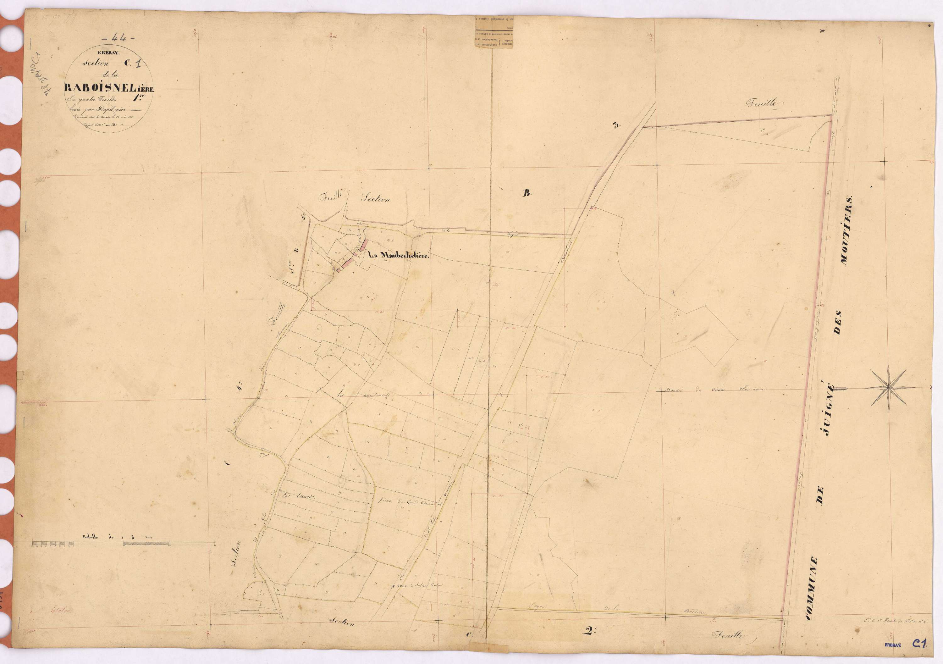 Erbray - Section C1 Raboisnelière (section de La) ; 1-81
