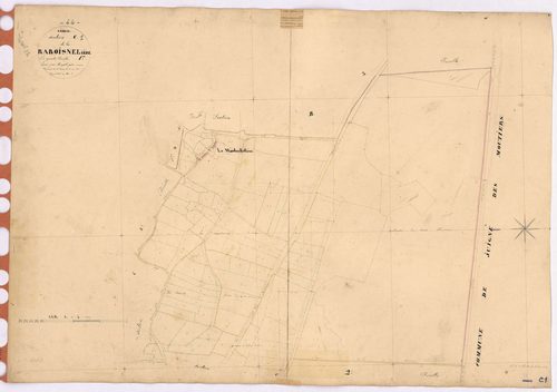 Erbray - Section C1 Raboisnelière (section de La) ; 1-81