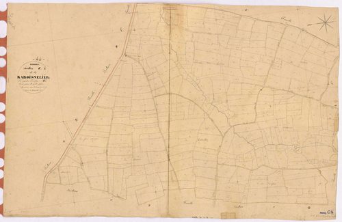 Erbray - Section C4 Raboisnelière (section de La) ; 542-815