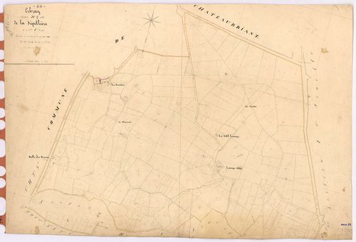 Erbray - Section H1 Sépellière (section de La) ; 1-196