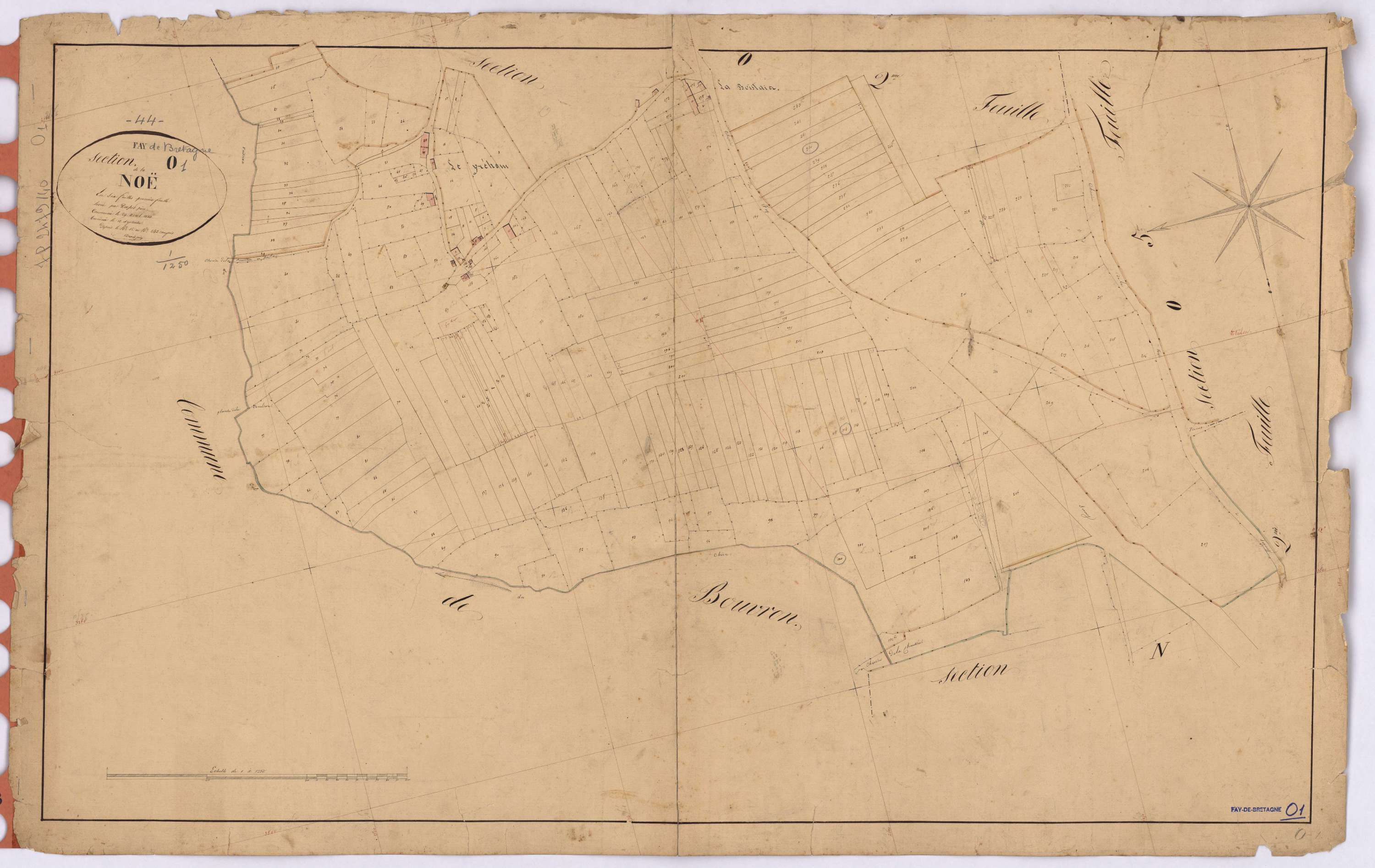 Fay-de-Bretagne - Section O1 Noë (section de La) ; 1-244