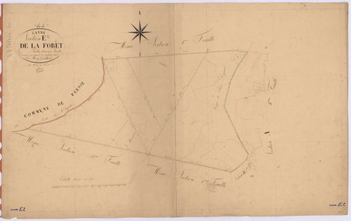 Le Gâvre - Section E2 Forêt (section de La) ; 26-37