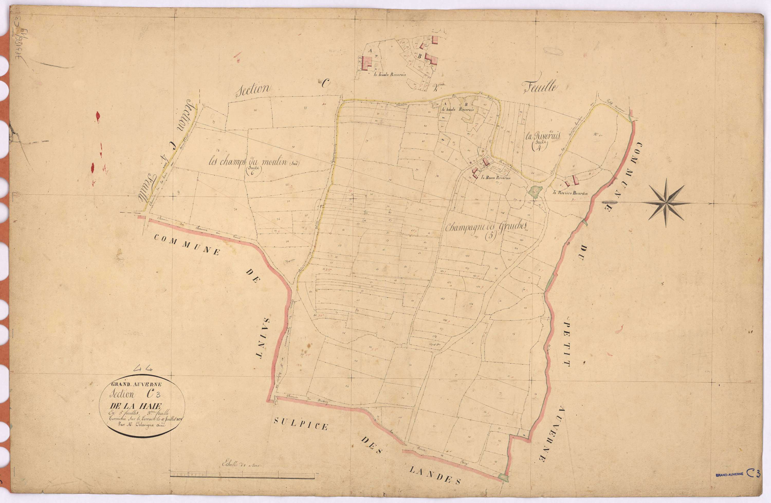 Grand-Auverné - Section C3 Haie (section de La)