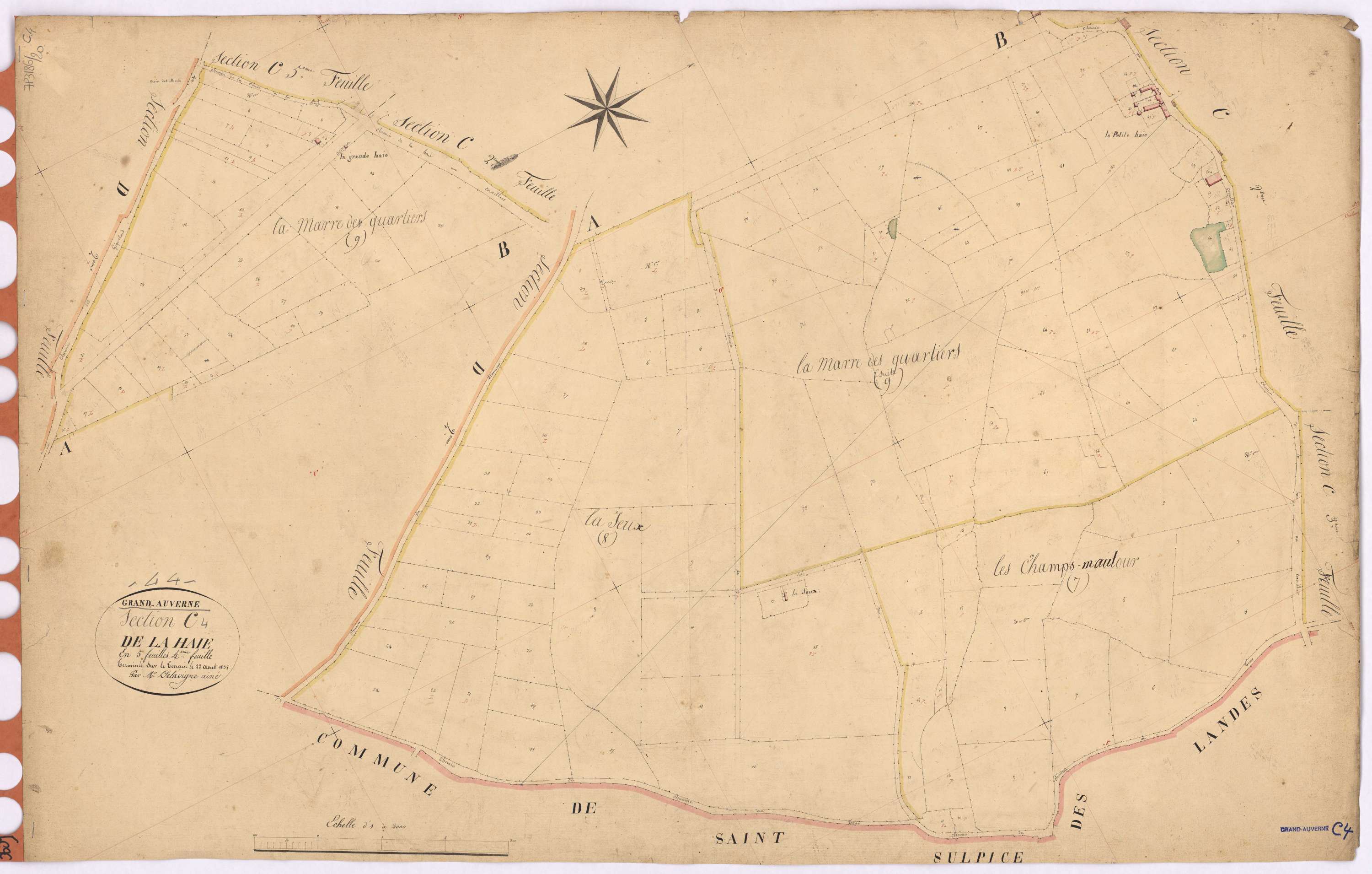 Grand-Auverné - Section C4 Haie (section de La)