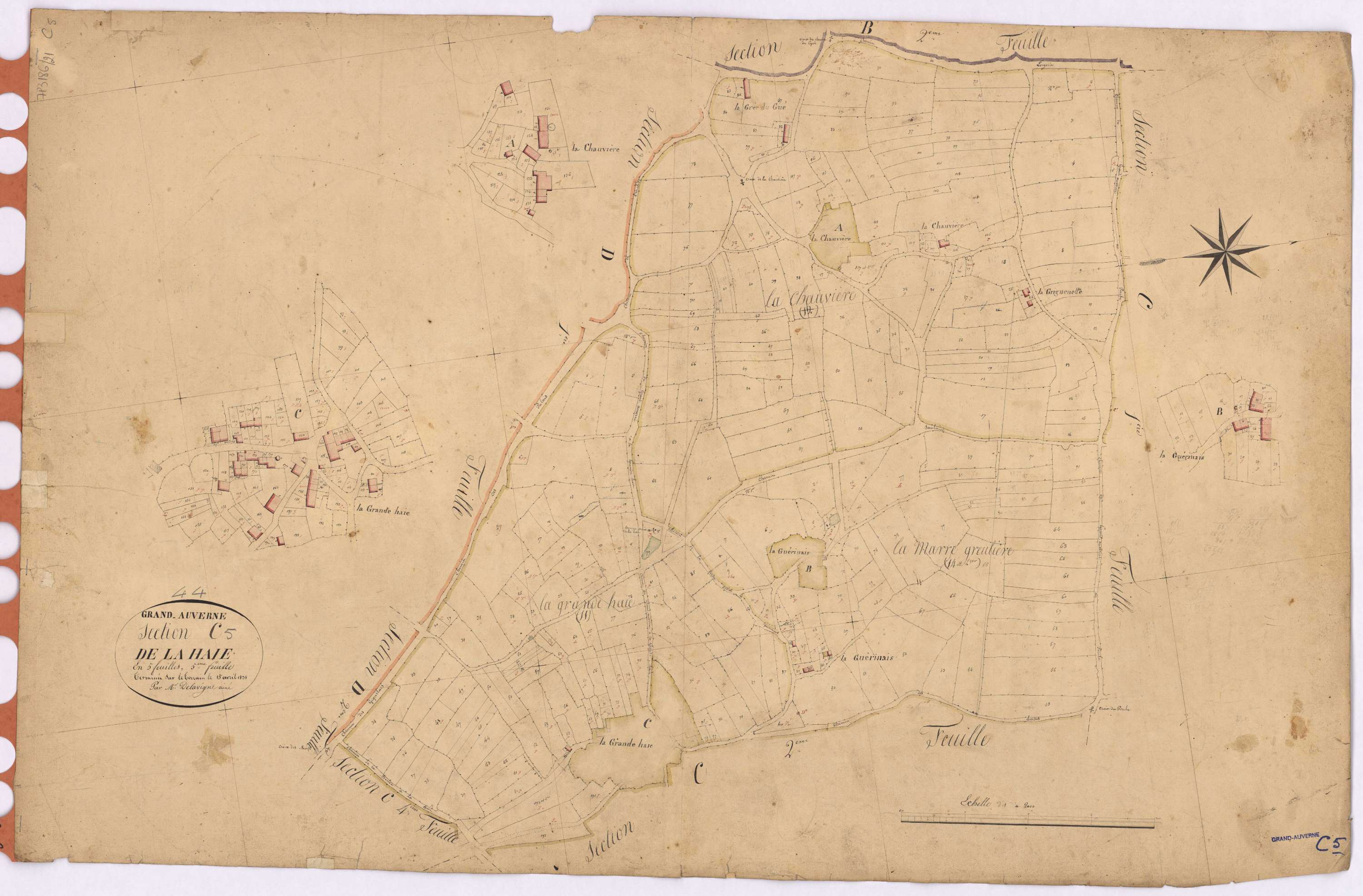 Grand-Auverné - Section C5 Haie (section de La)